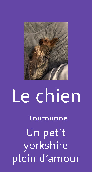 photo Nounou Livret Accueil - Presentation Chien